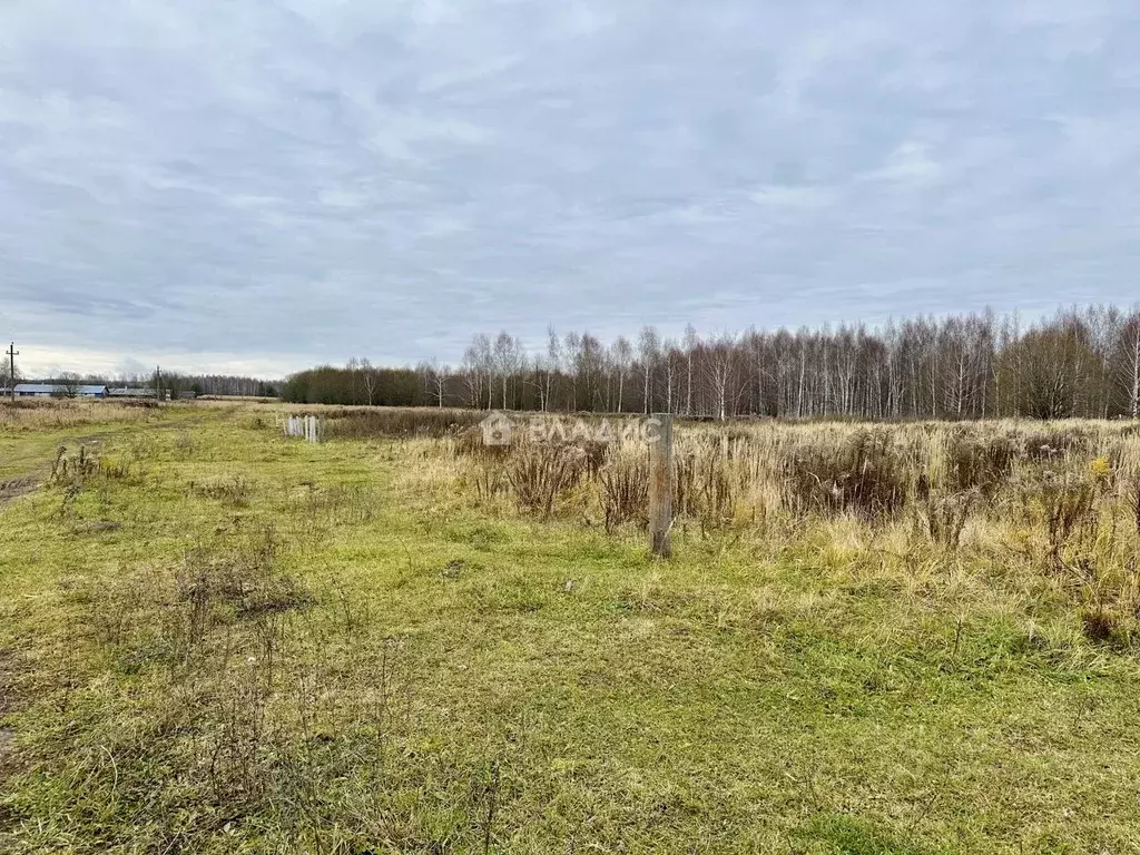 Участок в Нижегородская область, Дальнеконстантиновский муниципальный ... - Фото 1