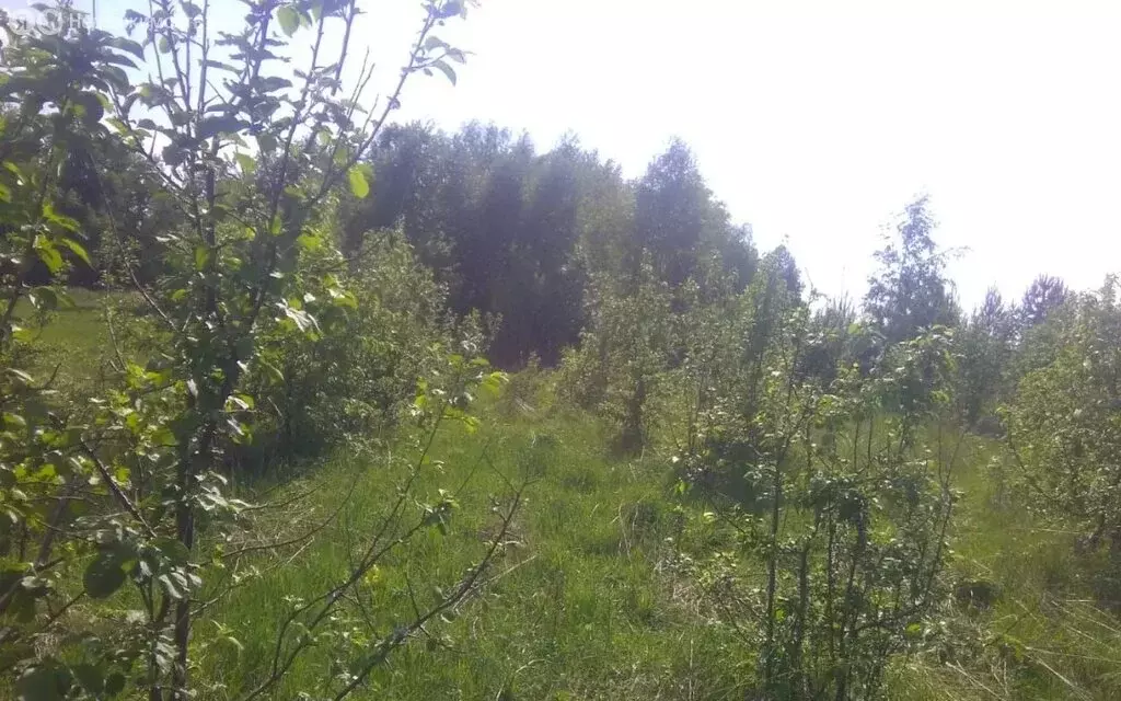 Участок в Красноярский край, Эвенкийский муниципальный округ, ... - Фото 2