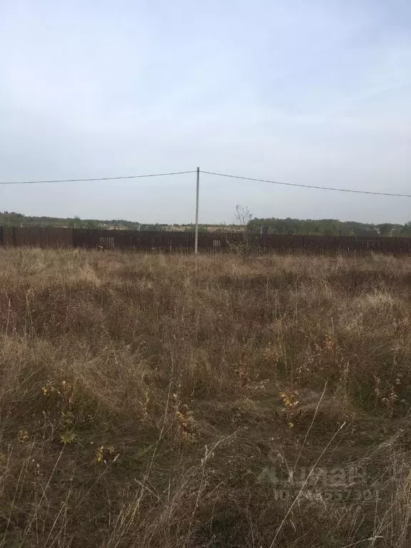 Участок в Тульская область, Ясногорский район, Иваньковское ... - Фото 1