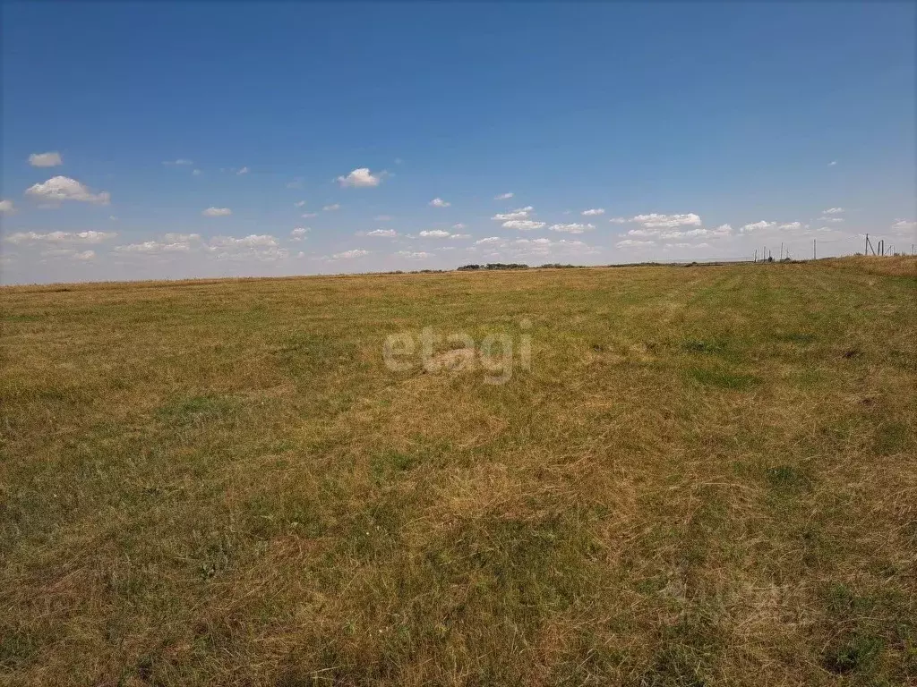 Участок в Брянская область, Клетнянский район, Мужиновское с/пос, д. ... - Фото 1