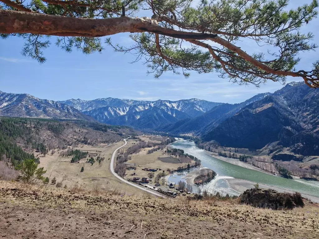 Участок в Алтай, Чемальский район, с. Уожан  (17.0 га.) - Фото 1