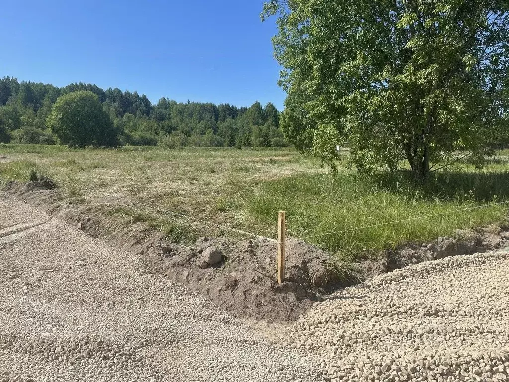 Участок в Ленинградская область, Гатчинский район, д. Ляды  (10.0 ... - Фото 1