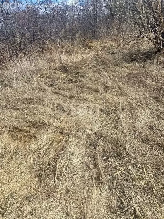 Участок в село Гаровка-2, Посёлочная улица (11 м) - Фото 0