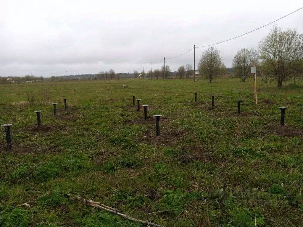 Участок в Ленинградская область, Волосовский район, Большеврудское ... - Фото 1