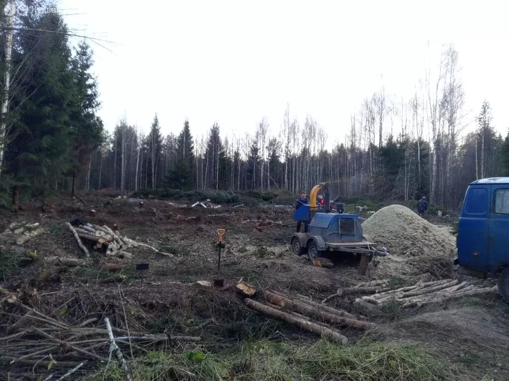 Участок в Московская область, городской округ Клин, СНТ Электрощит, ... - Фото 1