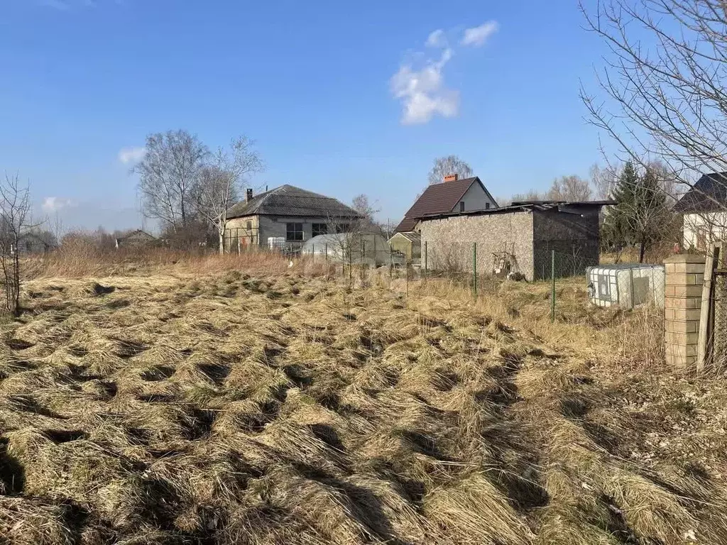 Участок в Калининградская область, Гурьевский муниципальный округ, ... - Фото 1