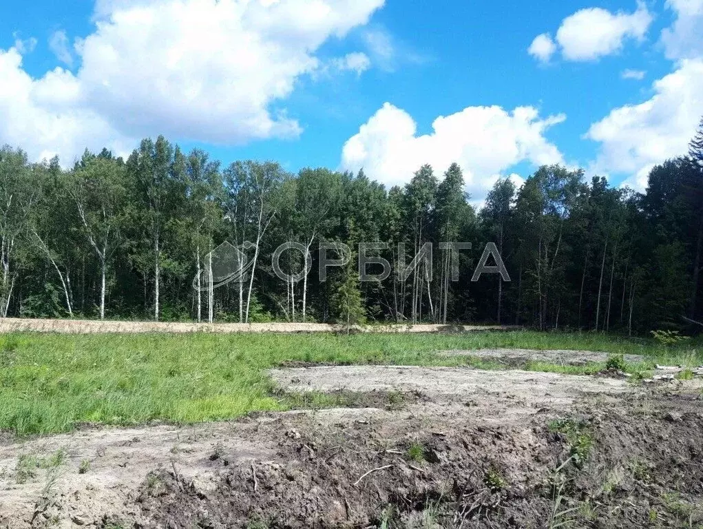 Участок в Тюменская область, Нижнетавдинский район, с. Тюнево  (8.5 ... - Фото 1