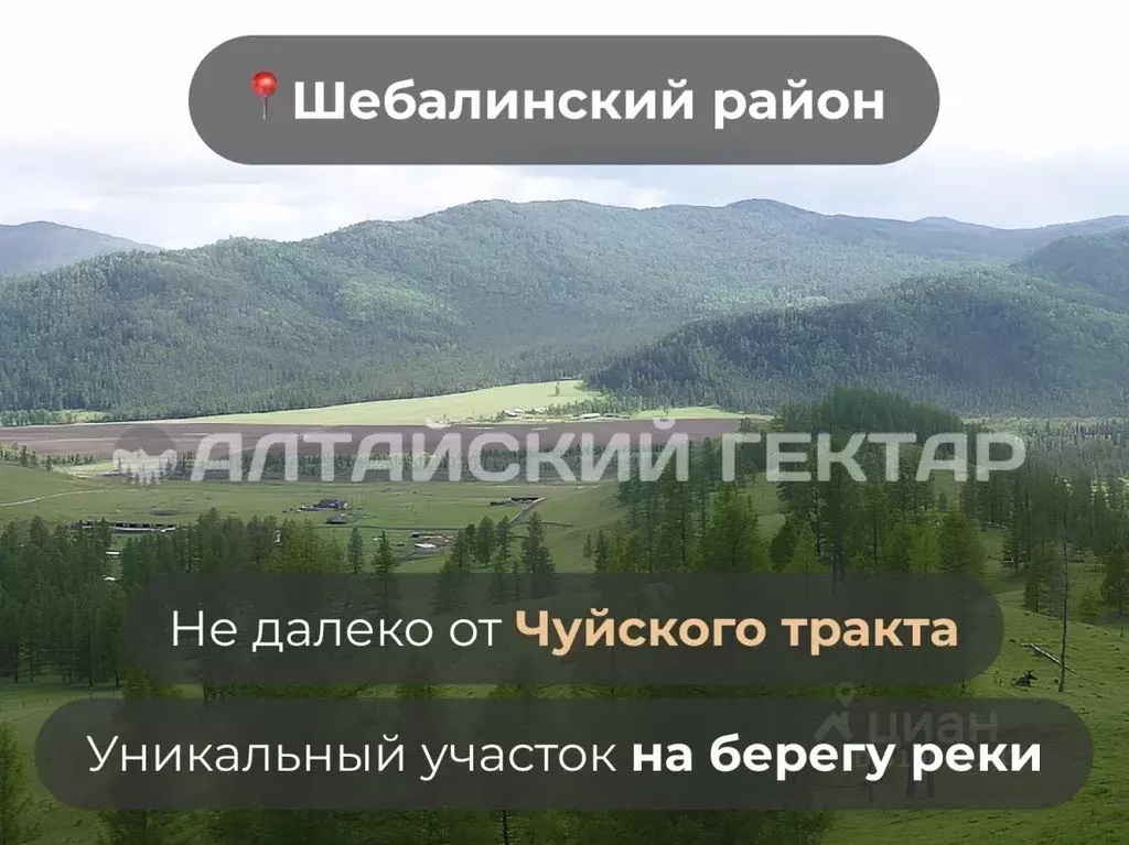 Участок в Алтай, Шебалинский район, с. Беш-Озек  (3040.0 сот.) - Фото 1