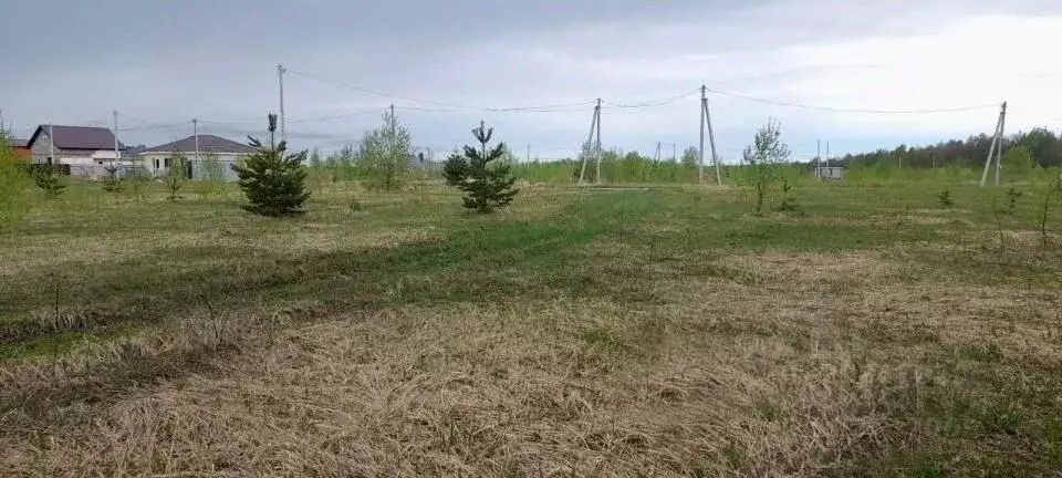 Участок в Московская область, Жуковский Союз-ЦАГИ СНТСН, Д-8 (7.66 ... - Фото 1