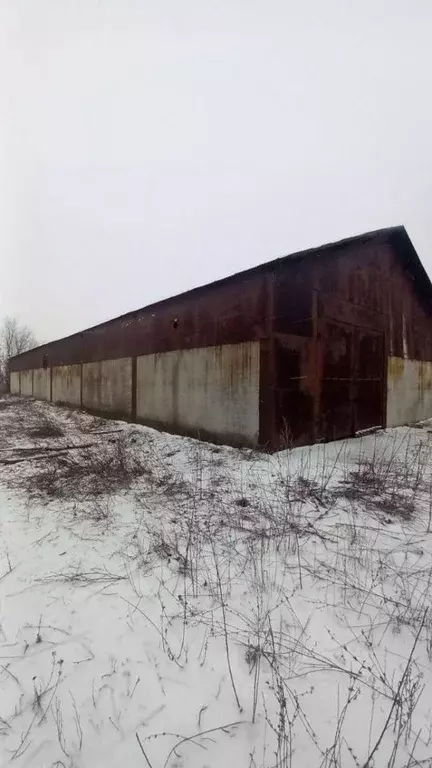 Склад в Саратовская область, Энгельс муниципальное образование, пос. ... - Фото 2