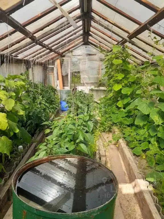 Участок в Свердловская область, Нижний Тагил Роща СНТ, ул. 3-я, 124 ... - Фото 1