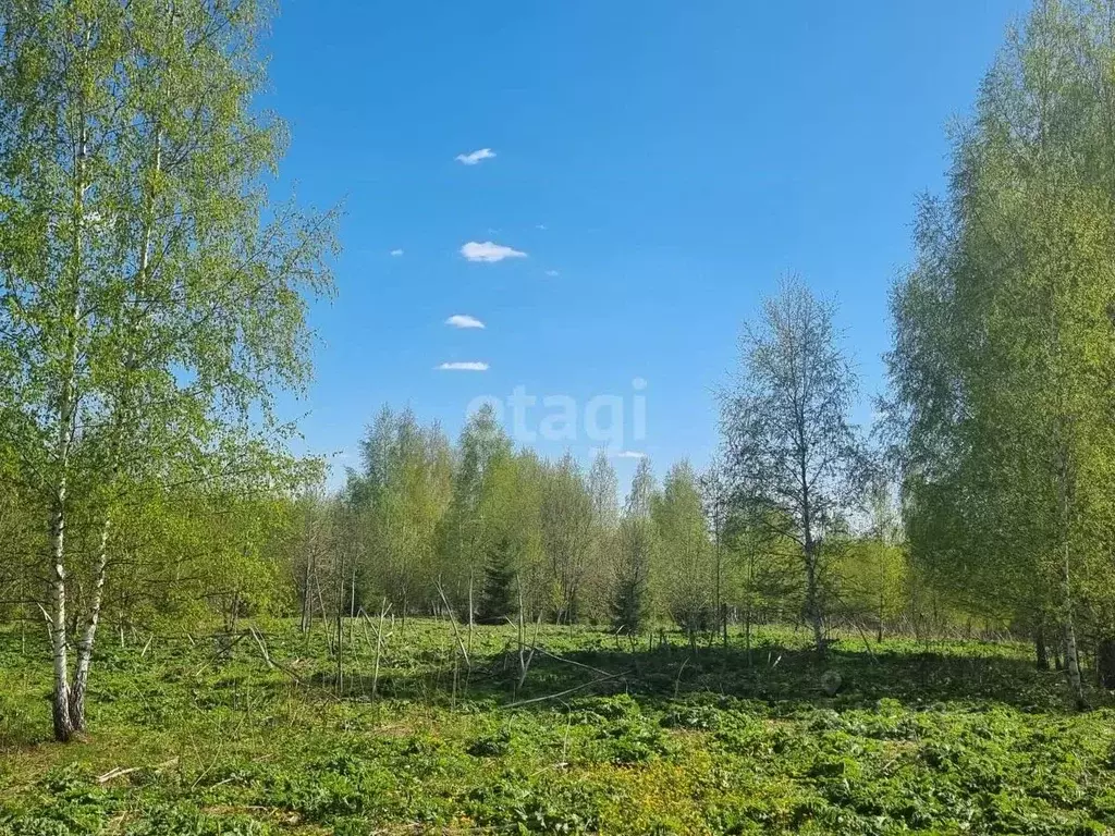 Участок в Московская область, Дмитровский городской округ, д. Удино  ... - Фото 1