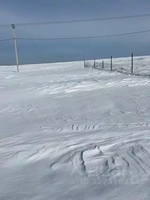 Участок в Московская область, Луховицы муниципальный округ, с. Городна ... - Фото 1