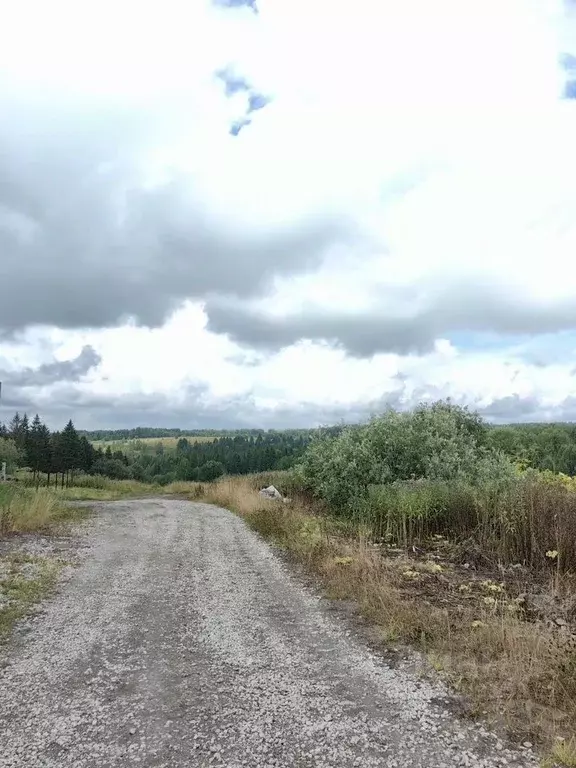 Участок в Пермский край, Березники муниципальный округ, д. Шиши  (8.0 ... - Фото 2