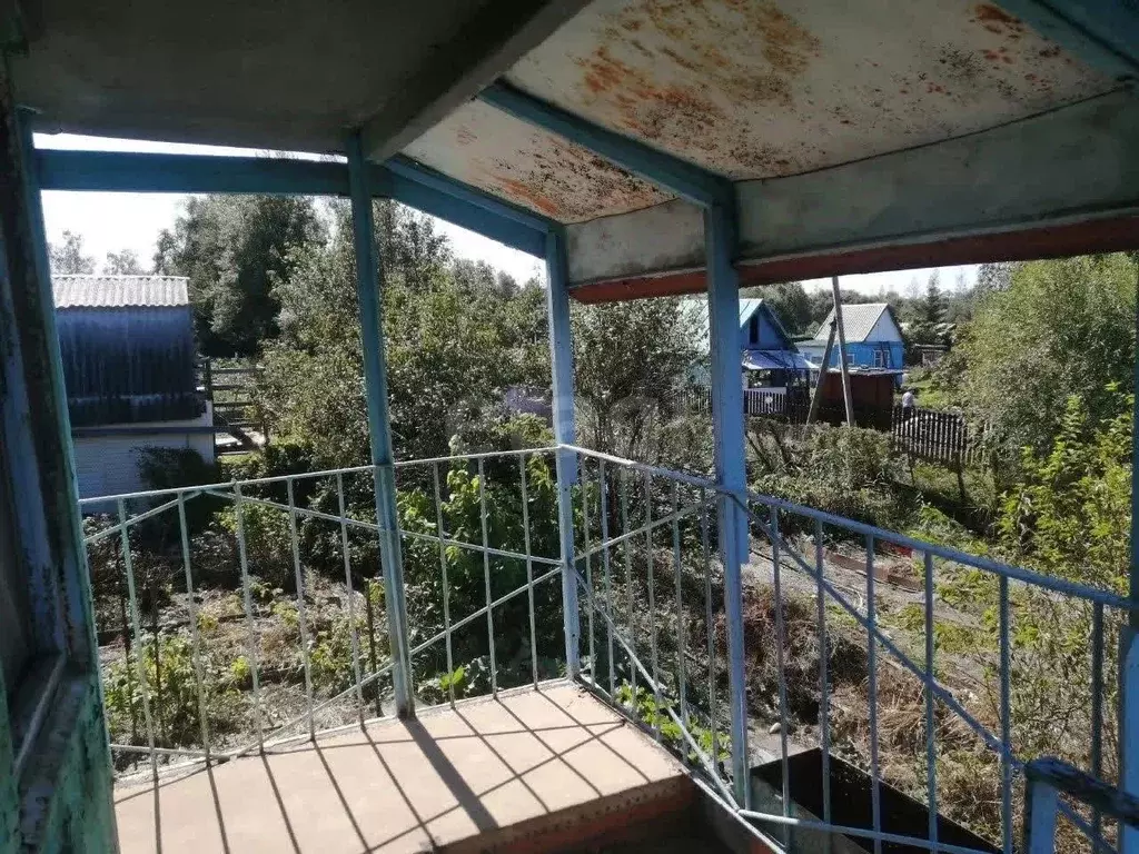 Участок в Еврейская автономная область, Смидовичский район, ЦЭС ... - Фото 2