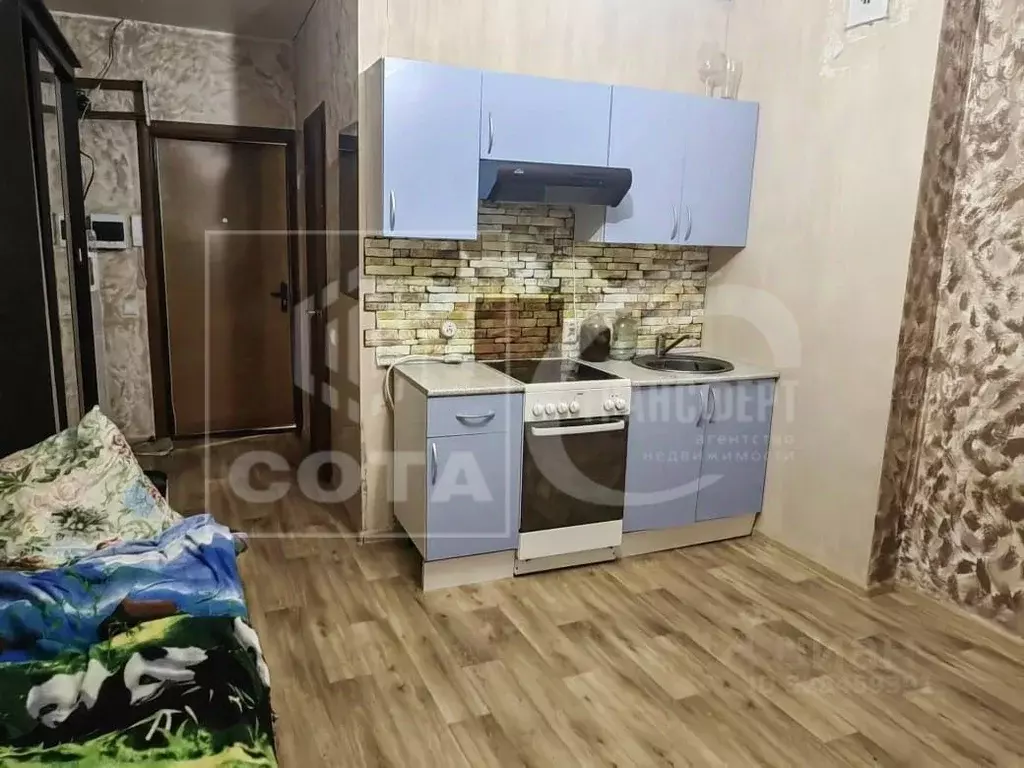 Студия Воронежская область, с. Новая Усмань ул. Полевая, 36А (19.8 м) - Фото 2