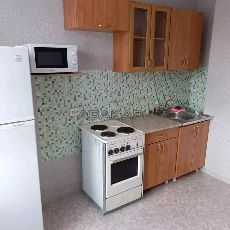 1-к кв. Красноярский край, Красноярск Лесопарковая ул., 33 (30.0 м) - Фото 1