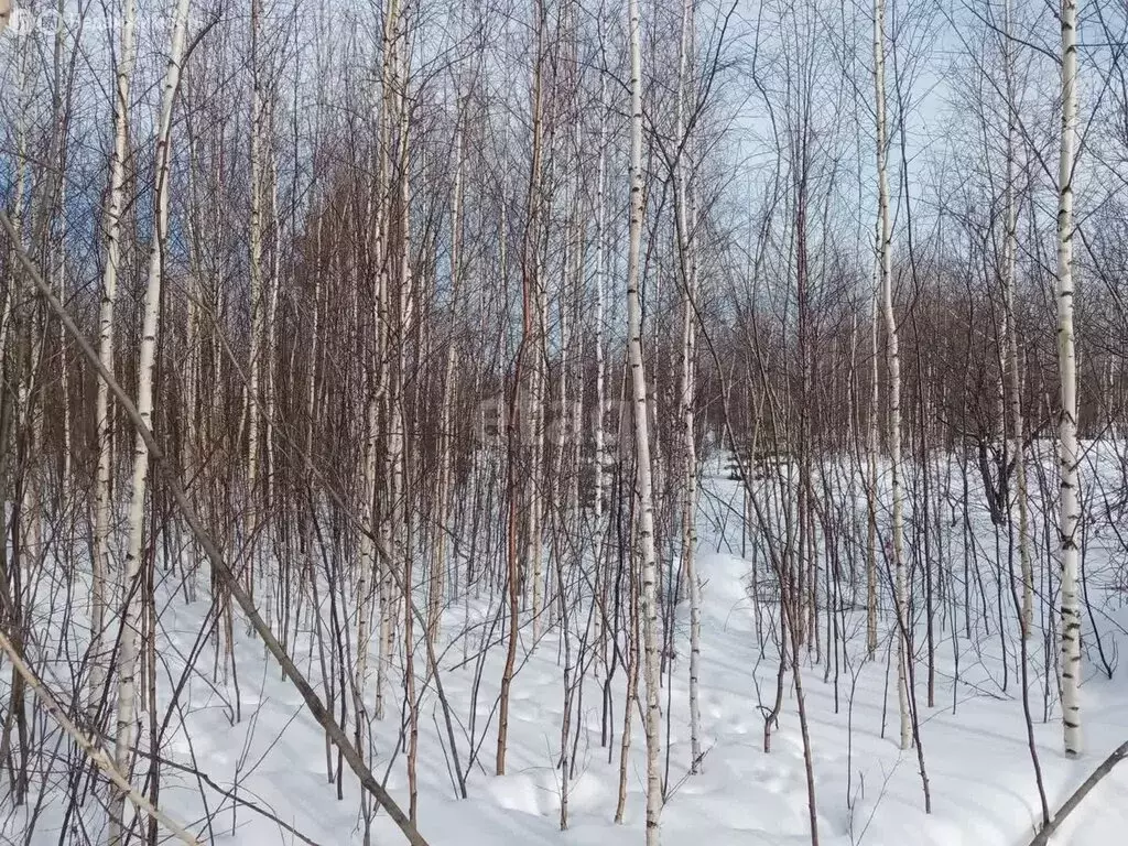 Участок в Горноуральский городской округ, село Мурзинка, улица ... - Фото 0