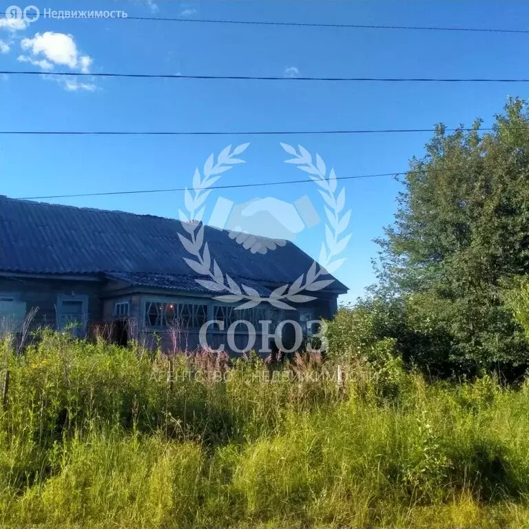 Дом в Новгородская область, Валдайский муниципальный район, Едровское ... - Фото 2
