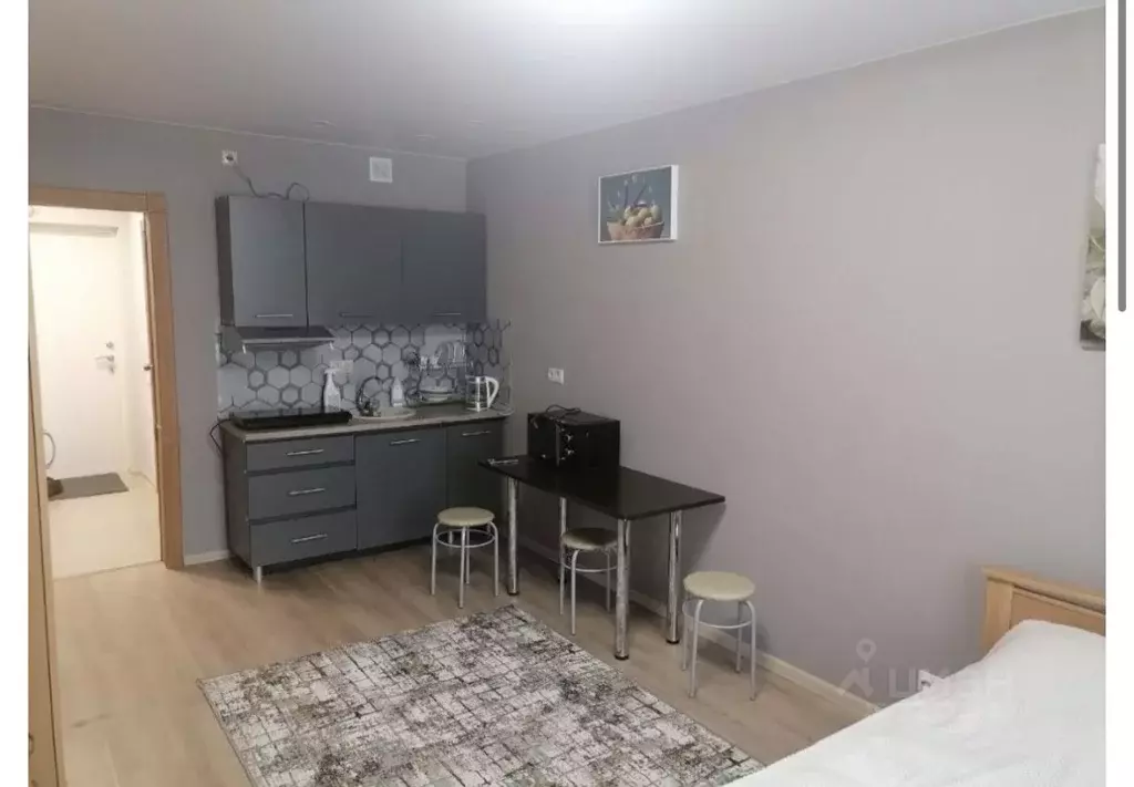 Студия Московская область, Балашиха ул. Яганова, 8 (26.0 м) - Фото 2