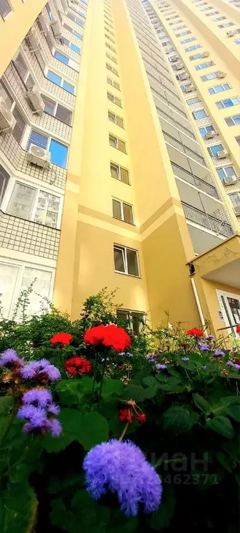 3-к кв. Саратовская область, Саратов ул. Имени В.Н. Симбирцева, 40А ... - Фото 1