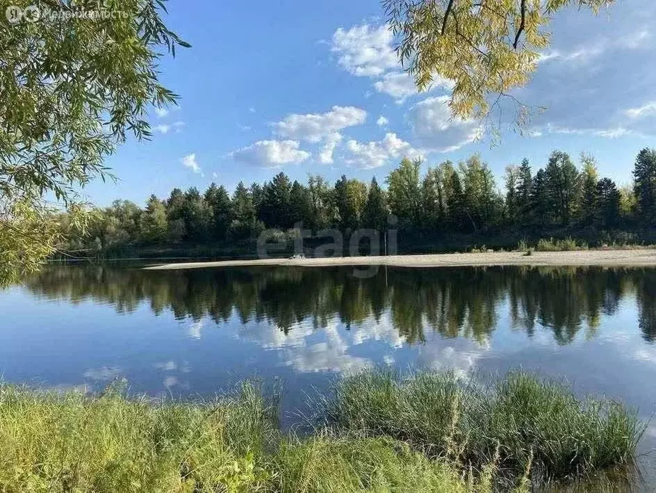 Участок в посёлок Власть Труда, Берёзовая улица (6 м) - Фото 1