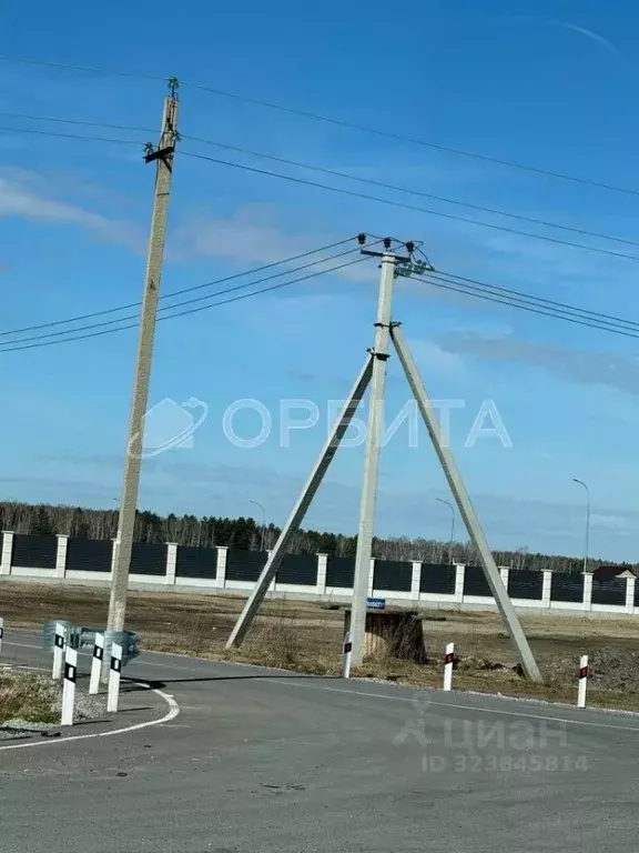Участок в Тюменская область, Тюменский муниципальный округ, Каменское ... - Фото 1