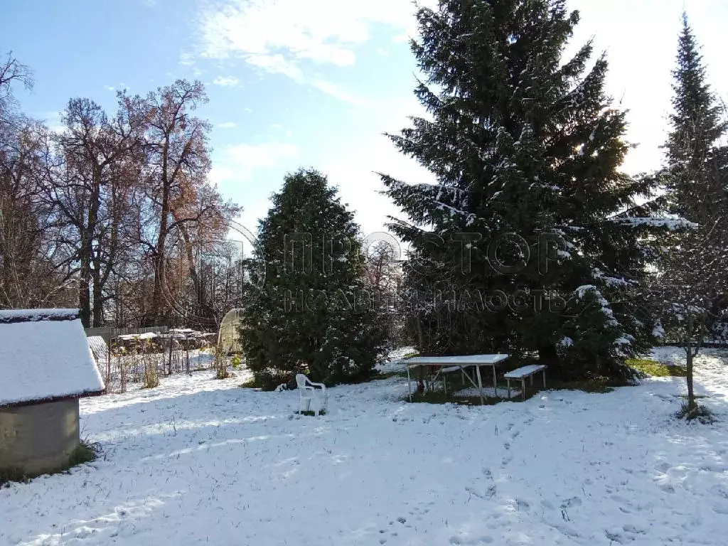 Продается дом в с. Остров - Фото 2