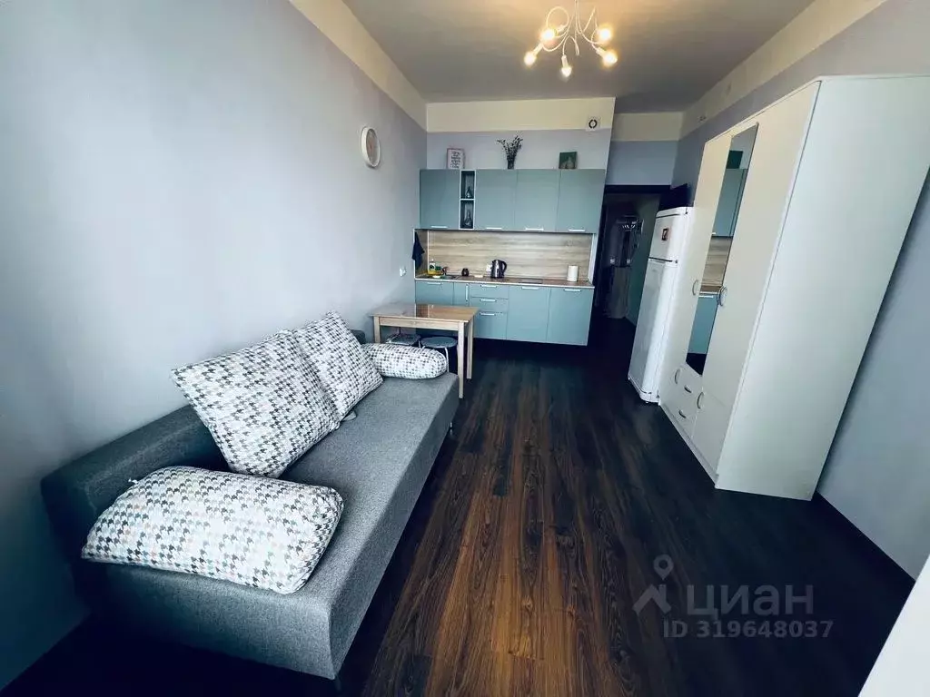 Студия Санкт-Петербург аллея Арцеуловская, 21 (25.0 м) - Фото 0