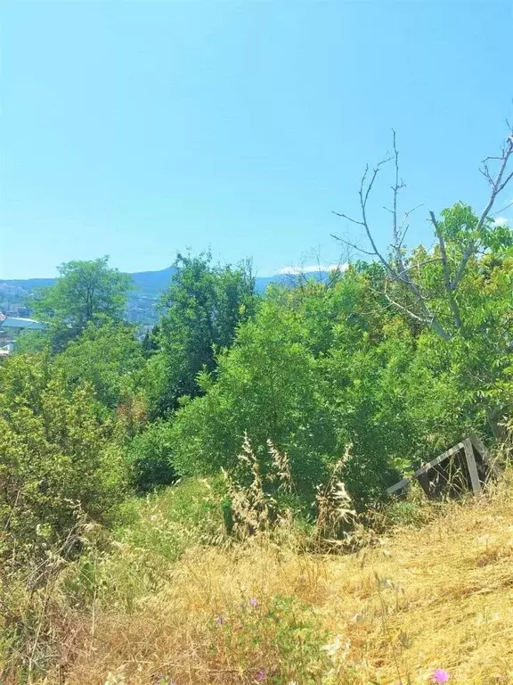 Участок в Крым, Ялта ул. Войкова, 12 (6.0 сот.) - Фото 0