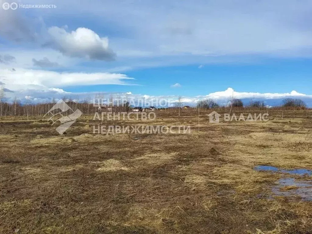 Участок в Рязанская область, Захаровский муниципальный округ, село ... - Фото 1
