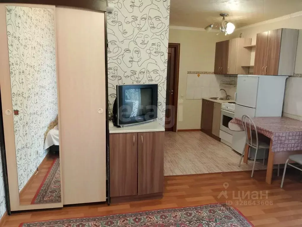 Студия Алтайский край, Барнаул тракт Павловский, 221 (26.4 м) - Фото 1