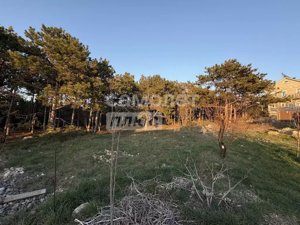 Участок в Севастополь Балаклавский муниципальный округ, Скиф садовое ... - Фото 1