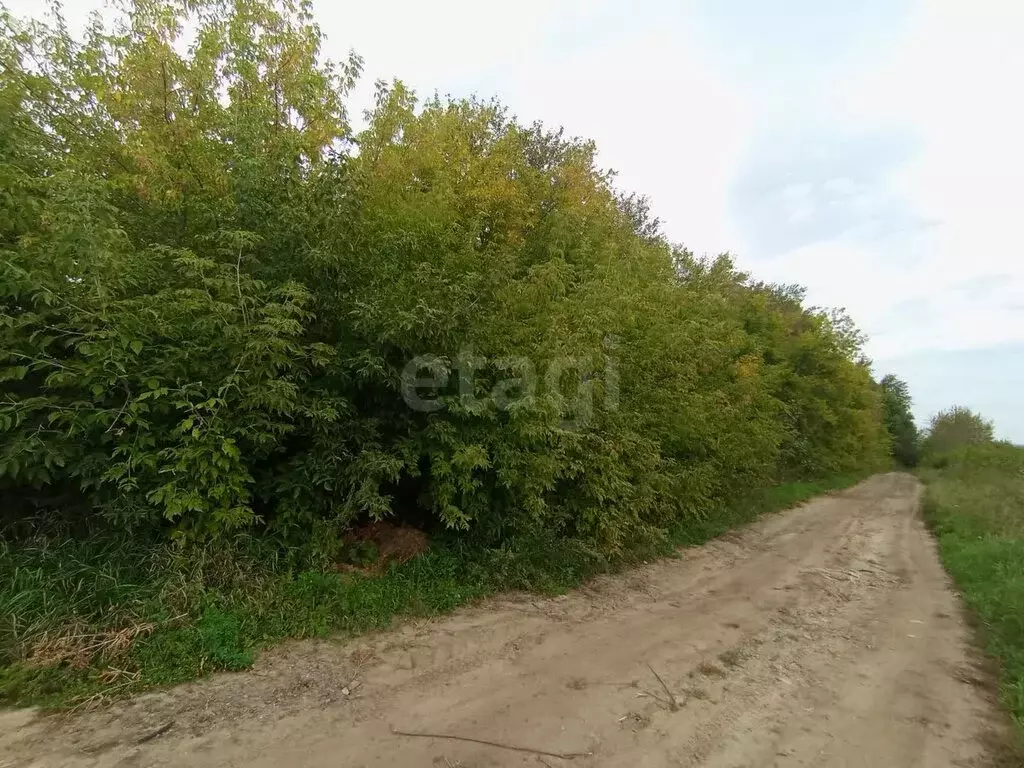 Участок в село Солобоево, Садовая улица (80 м) - Фото 2