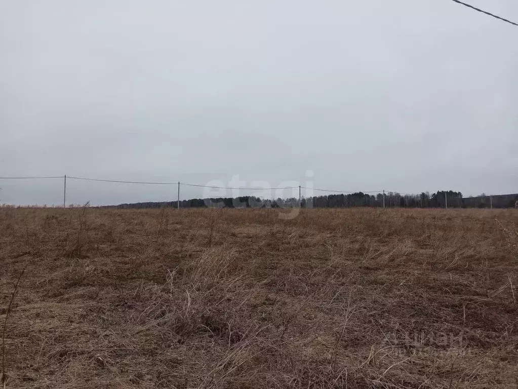 Участок в Свердловская область, Нижний Тагил  (7.0 сот.) - Фото 0