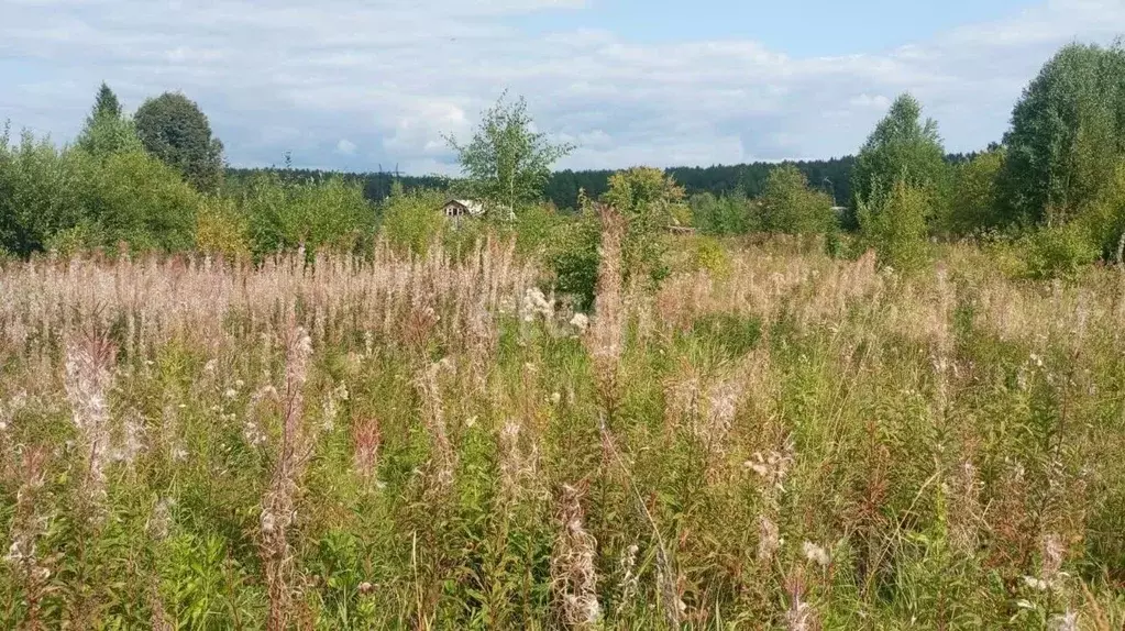 Участок в Свердловская область, Нижний Тагил ул. Большая Кольцевая ... - Фото 1