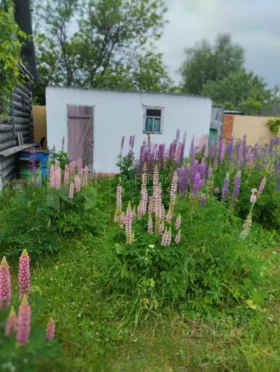 Дом в Тюменская область, Тюмень городской округ, Сосновая Поляна СНТ  ... - Фото 1