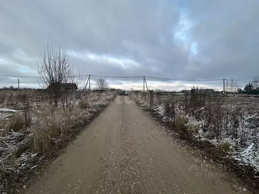 Участок в Смоленская область, Смоленский муниципальный округ, Борок кп ... - Фото 1