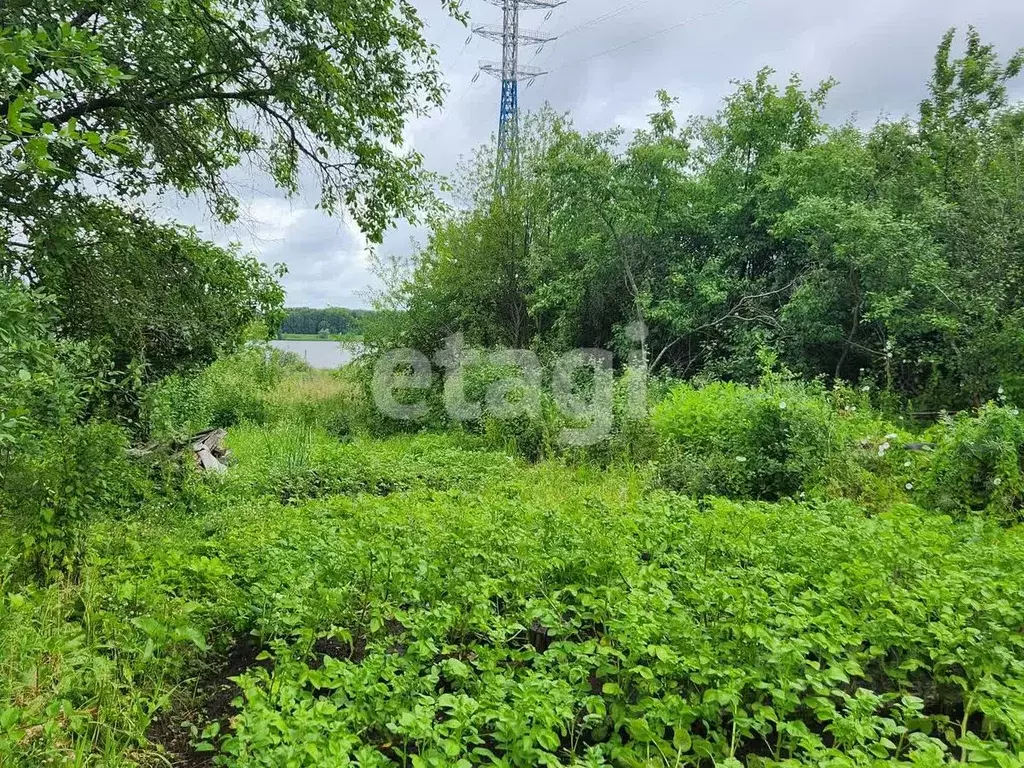 Участок в Костромская область, Кострома пос. Селище, ул. ... - Фото 1