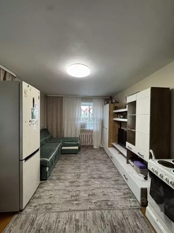 1-к кв. Тыва, Кызыл ул. Дружбы, 3 (30.0 м) - Фото 2