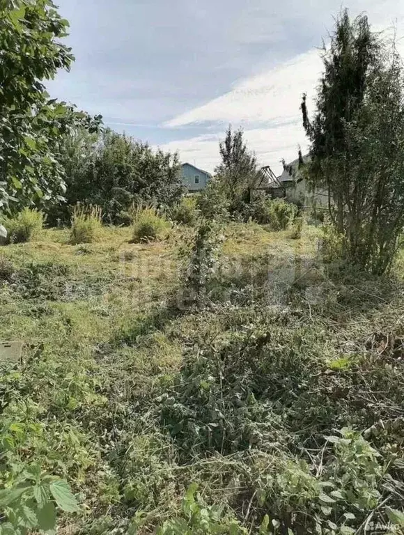 Участок в Нижегородская область, Нижний Новгород № 19 Доскинец СНТ, 75 ... - Фото 1