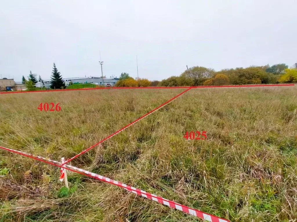 Участок в Новгородская область, Новгородский район, Савинское с/пос, ... - Фото 2