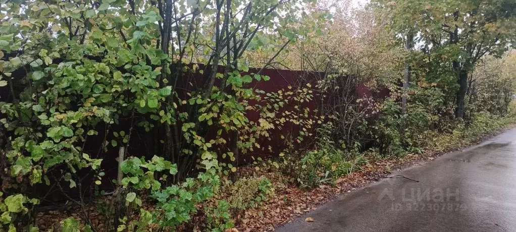 Участок в Московская область, Балашиха городской округ, д. Федурново ... - Фото 1