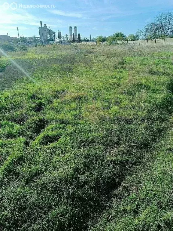 Участок в Феодосия, садоводческое товарищество Здоровье, Садовое ... - Фото 2