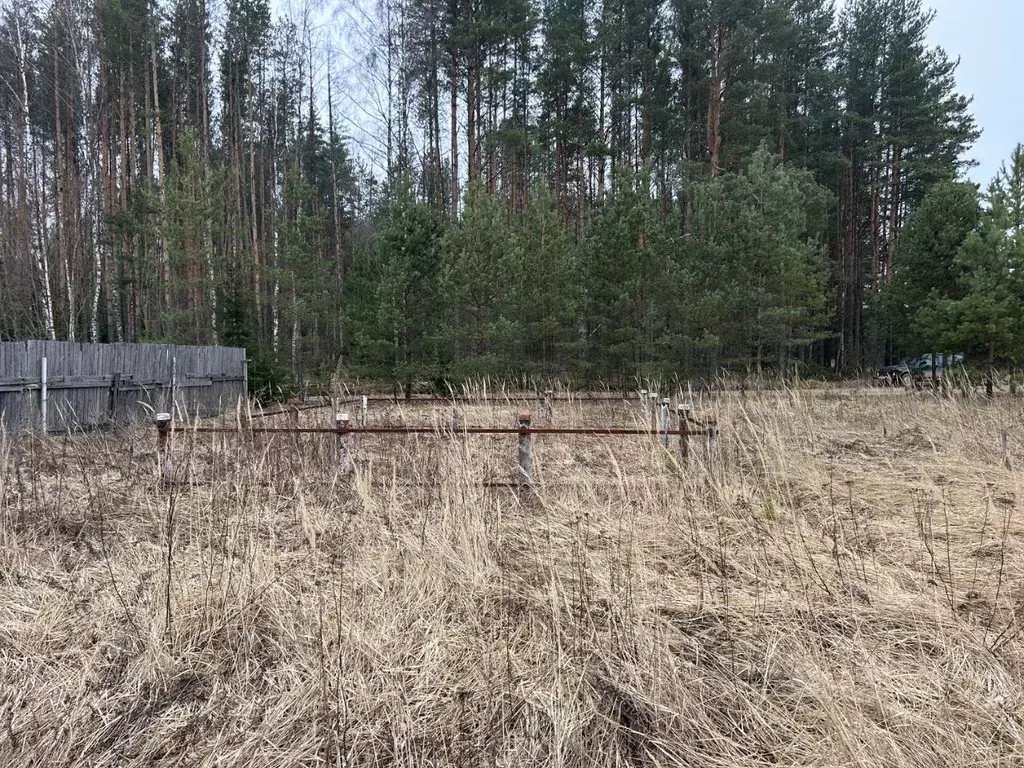 Участок в Владимирская область, Александровский район, Каринское ... - Фото 0