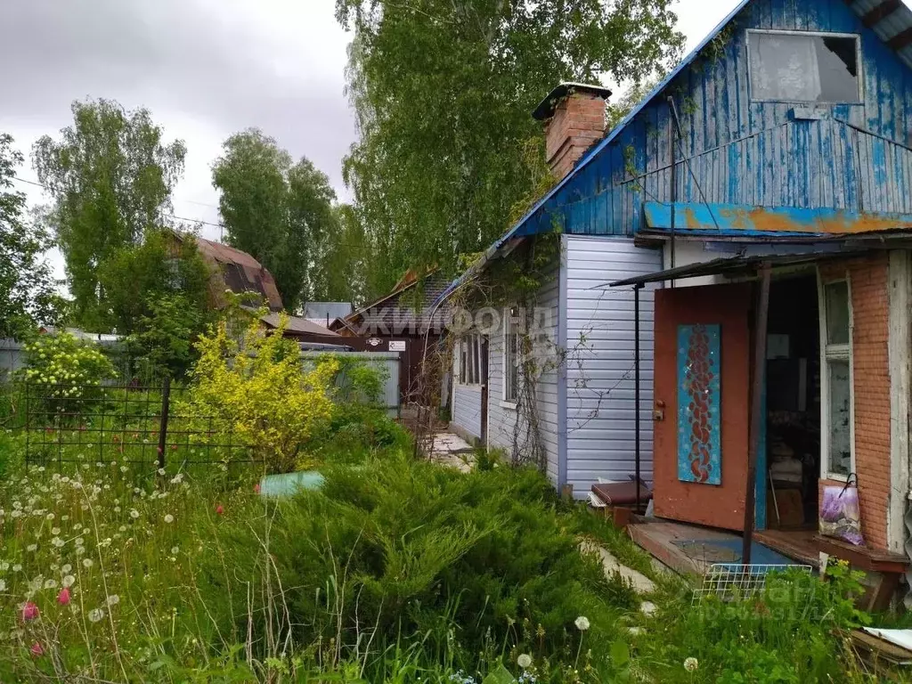 Участок в Новосибирская область, Новосибирский район, Раздольненский ... - Фото 0