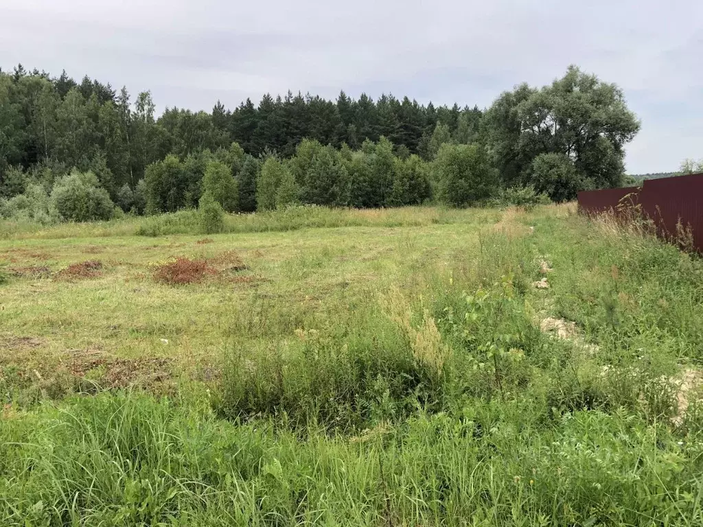 Участок в Тульская область, Заокский район, Страховское с/пос, На Оке ... - Фото 2