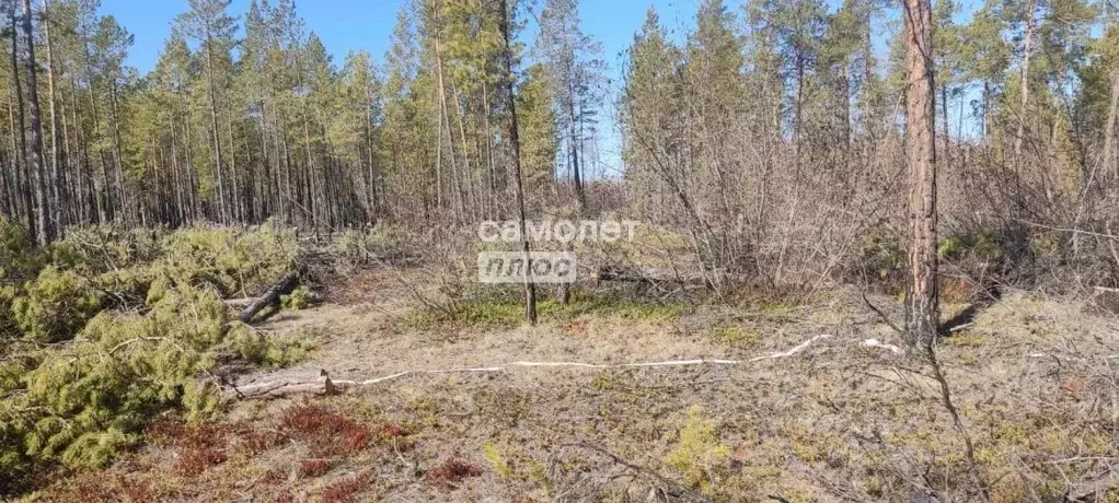 Участок в Саха (Якутия), Якутск  (12.0 сот.) - Фото 0