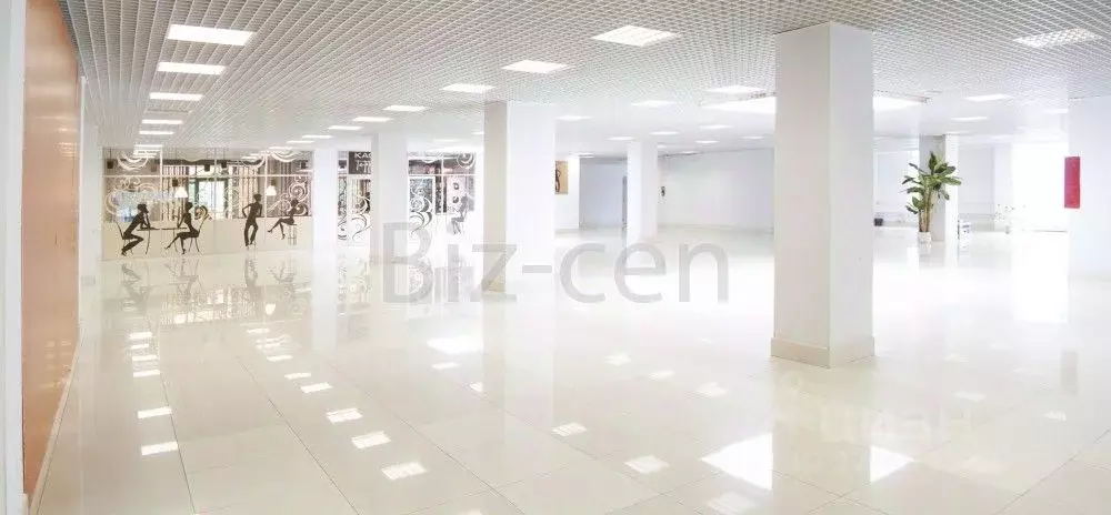 Офис в Санкт-Петербург Северный просп., 5 (28 м) - Фото 2