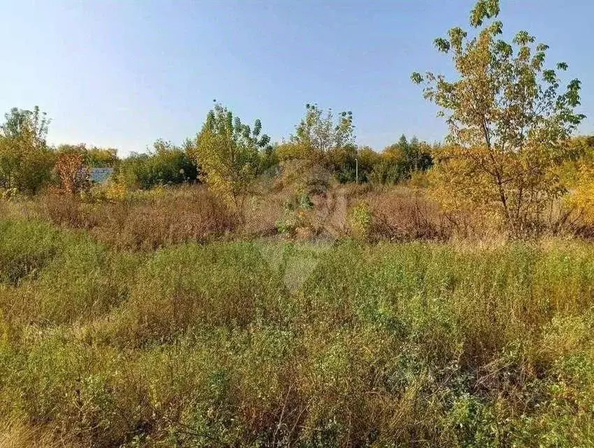 Участок в Белгородская область, Старооскольский городской округ, с. ... - Фото 0
